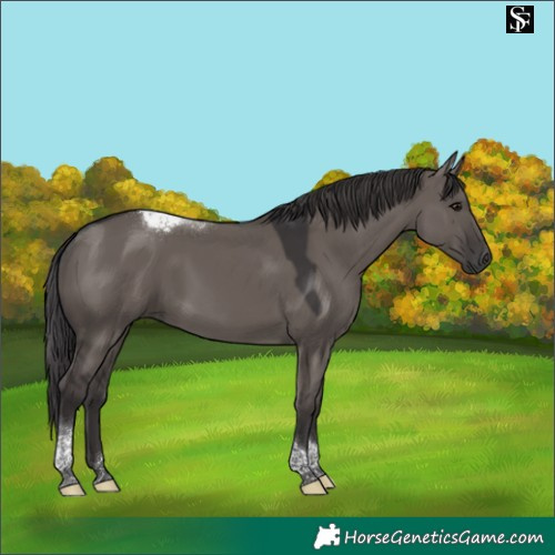 Horse Color:Smoky Grullo Tobiano 