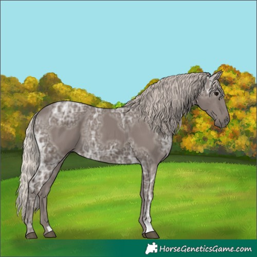 Horse Color:Silver Black Ice 