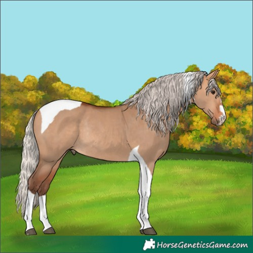 Horse Color:Silver Bay Dun Tobiano Rabicano 