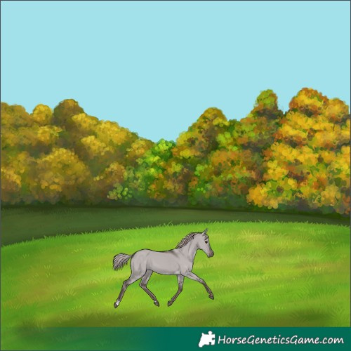 Horse Color:Platinum Liver Red Dun 