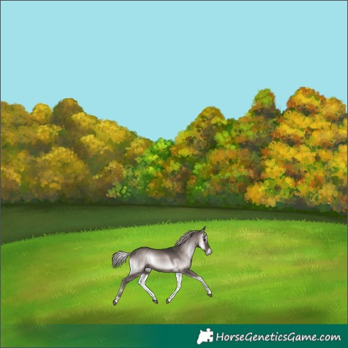 Horse Color:Platinum Liver Red Onyx 