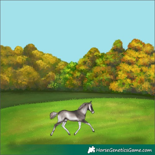 Horse Color:Platinum Liver Red Onyx 