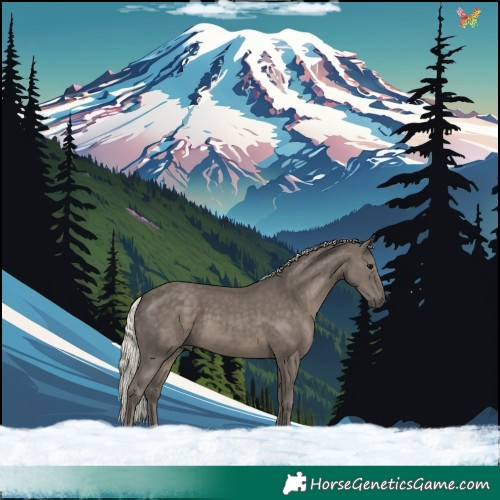 Horse Color:Silver Black 