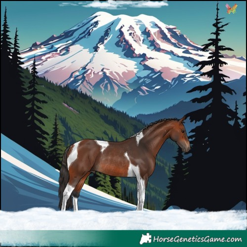 Horse Color:Bay Tobiano Rabicano 