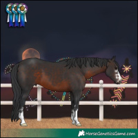 Horse Color:Brown 