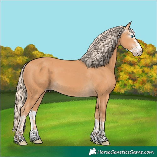 Horse Color:Gray Cremello Splash  and Gray Cremello Splash 