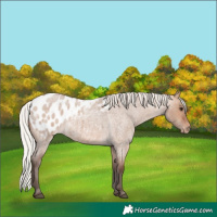 Horse Color:Silver Brown Roan Dun Blanket