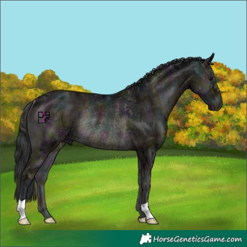 Horse Color:Midnight Blue Onyx Ice Rabicano 