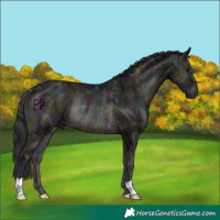 Horse Color:Midnight Blue Onyx Ice Rabicano
