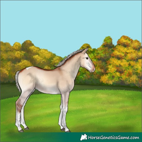 Horse Color:Silver Bay Onyx Tobiano 