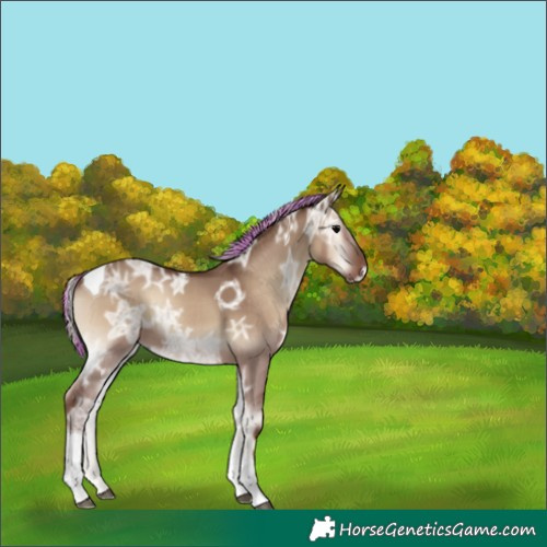 Horse Color:Painted Silver Grullo Ice Onyx Tobiano 