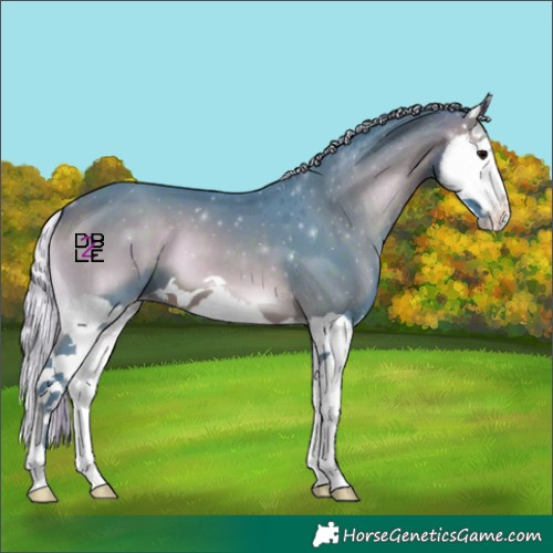 Horse Color:Watercolor Silver Brown Onyx Splash Appaloosa 