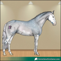 Horse Color:Watercolor Silver Brown Onyx Splash Varnish