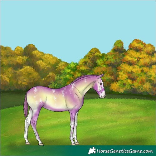 Horse Color:Powder White Watercolor Red Onyx 
