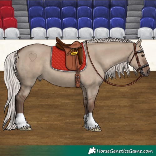 Horse Color:Silver Grullo 