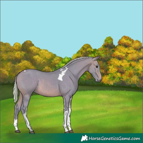 Horse Color:Watercolor Silver Brown Tobiano 