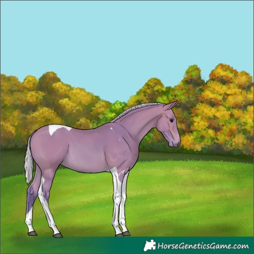 Horse Color:Watercolor Silver Bay Tobiano 