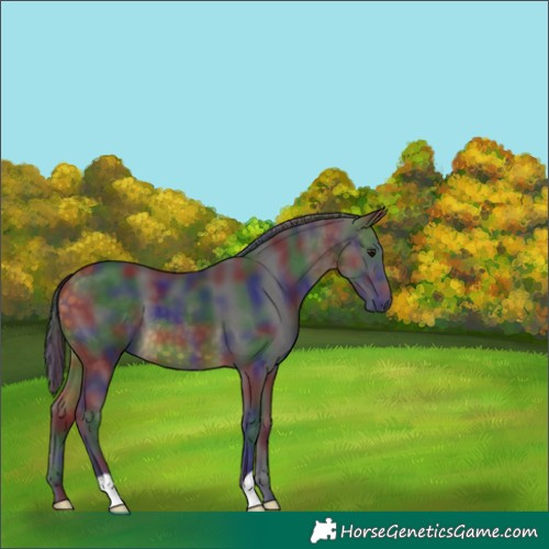 Horse Color:Nacre Buckskin 