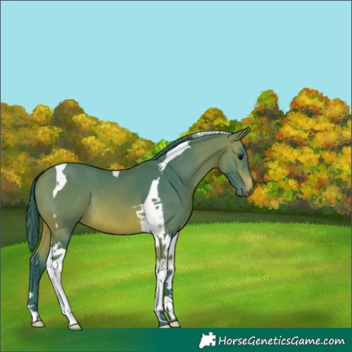 Horse Color:Watercolor Brown Tobiano 