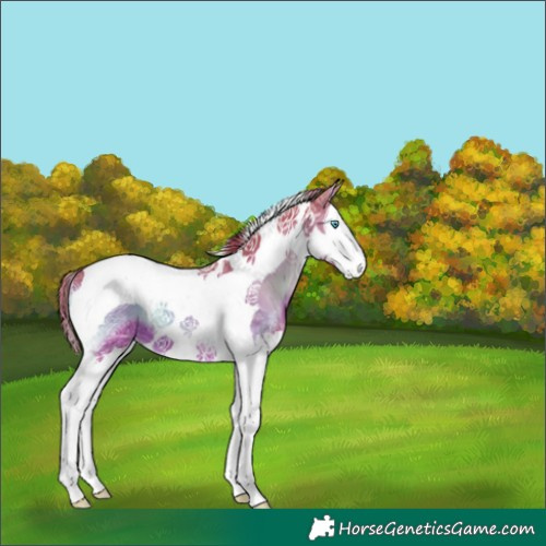 Horse Color:Watercolor Liver Red Onyx Ice Splash Tobiano 
