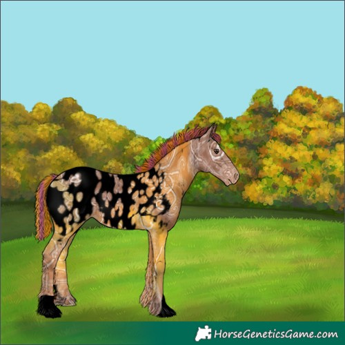 Horse Color:Void Painted Chestnut Ice Near Leopard 
