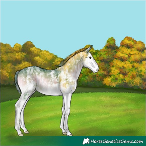 Horse Color:Watercolor White Spotted Liver Red Onyx Ice Splash 