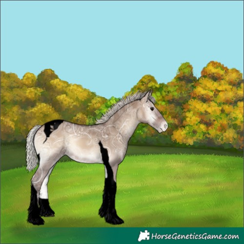 Horse Color:Void Silver Brown Ice Onyx Tobiano Appaloosa 