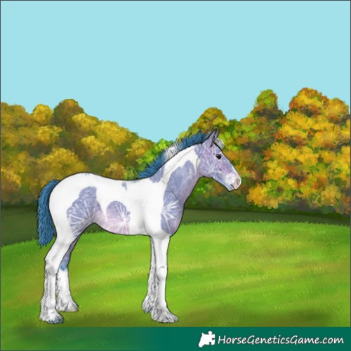 Horse Color:Watercolor Brown Ice Dun Tobiano Varnish 