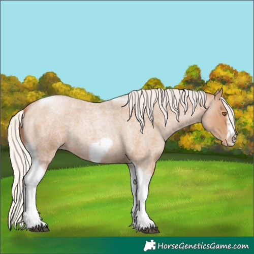 Horse Color:Silver Blue Roan Pearl Tobiano Frame