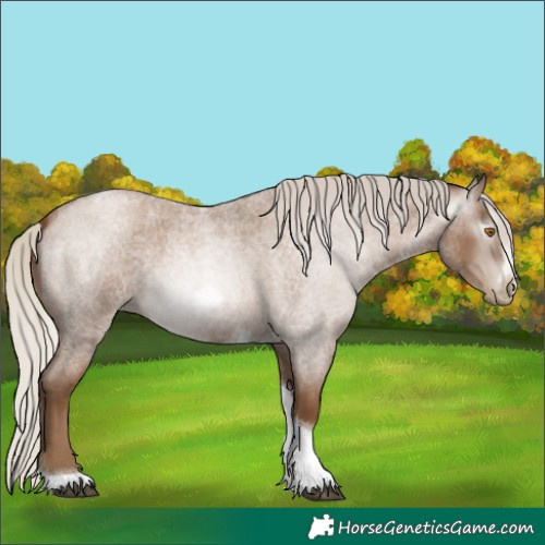 Horse Color:Gray Silver Blue Roan Pearl Tobiano Frame 