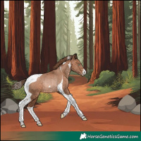 Horse Color:Brown Pearl Tobiano Rabicano 
