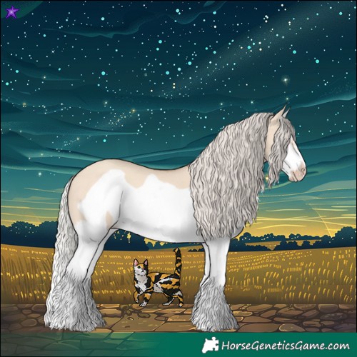 Horse Color:Silver Classic Champagne Dun Splash Frame