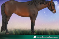 Horse Color:Brown 