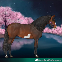 Horse Color:Bay Frame