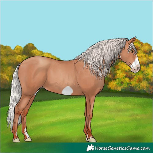 Horse Color:Silver Sable Champagne Frame 
