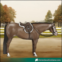 Horse Color:Gray Classic Champagne