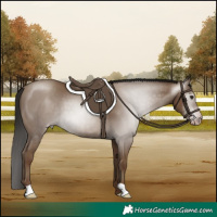 Horse Color:Gray Classic Champagne 