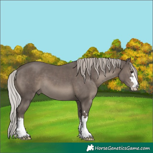 Horse Color:Silver Black 