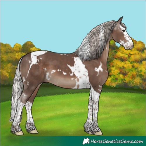 Horse Color:White Spotted Silver Black Splash Tobiano 
