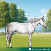 Horse Color:Gray Silver Black Pearl Tobiano