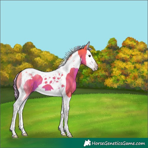 Horse Color:Watercolor Liver Chestnut Splash Tobiano 