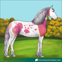 Horse Color:Watercolor Liver Chestnut Splash Tobiano