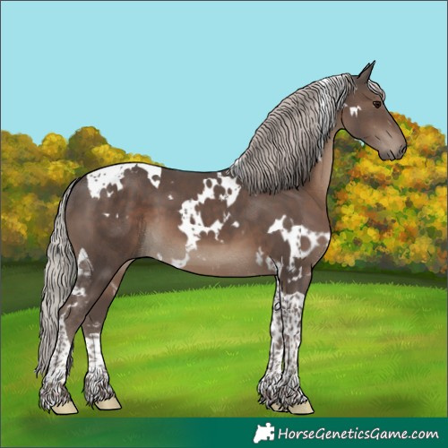 Horse Color:White Spotted Silver Black Tobiano 