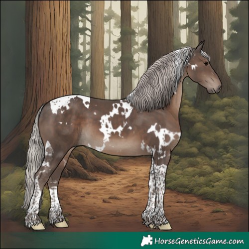 Horse Color:White Spotted Silver Black Tobiano 