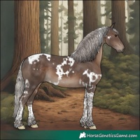 Horse Color:White Spotted Silver Black Tobiano 