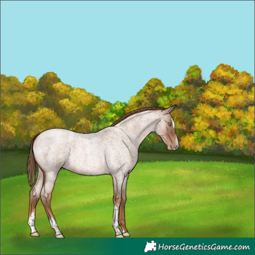 Horse Color:Liver Red Roan Pearl Splash Tobiano 