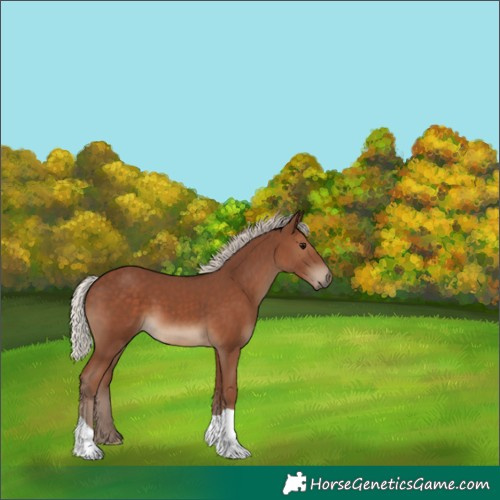 Horse Color:Silver Black 