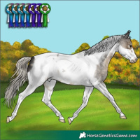 Horse Color:Silver Smoky Blue Roan Tobiano Frame