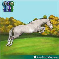 Horse Color:Silver Brown Roan Dun Sabino Appaloosa