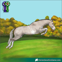 Horse Color:Silver Brown Roan Dun Sabino Appaloosa 